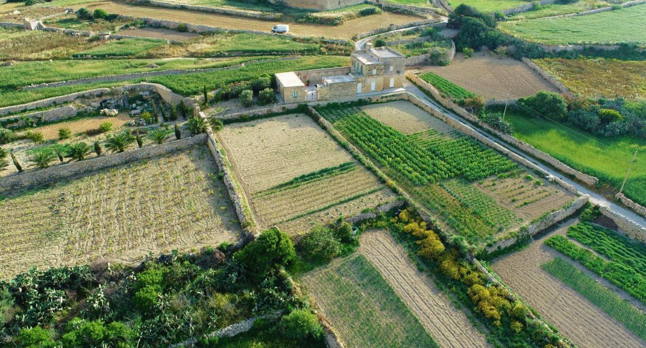 Sant Anton Tal-Qabbieza Farmhouse Villa Kerċem Eksteriør billede