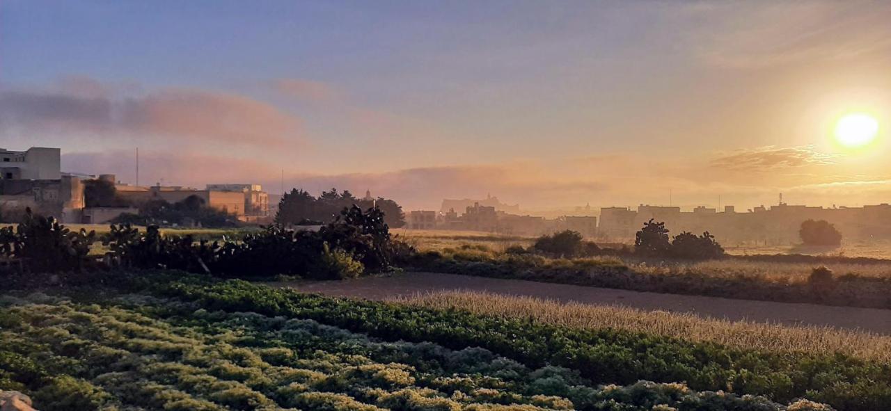 Sant Anton Tal-Qabbieza Farmhouse Villa Kerċem Eksteriør billede